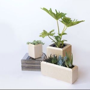 $48 Yield Design Co. birch wood counter top planter minimalism garden indoor